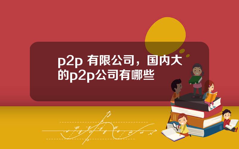p2p 有限公司，国内大的p2p公司有哪些